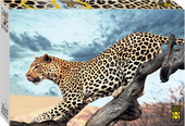 Леопард в дикой природе 84053 (2000 эл)