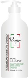 Шампунь Picasso Home Clean&Care Shampoo 300 мл