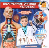 Маленький ученый. Внутренние органы человека KY-10001