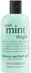 Fresh Mint Tingle 500 мл
