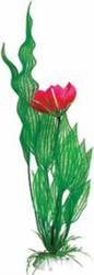 Апоногетон Мадагаскарский с цветком Plant 023/30