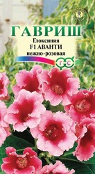 Глоксиния Аванти нежно-розовая Н12 F1 5 шт