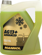 Antifreeze AG13+ 5л