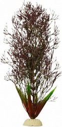 Горгонария Plant 030/50 (черный)