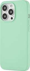 Touch Mag Case для iPhone 13 Pro (светло-зеленый)