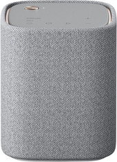 True X Speaker WS-X1A (светло-серый)