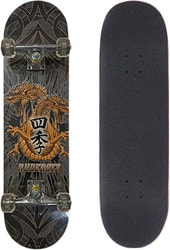 Skateboard 31