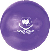 WMF09648 (фиолетовый)