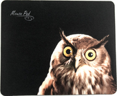 PM-H15 Owl