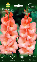 Гладиолус крупноцветковый Спик Энд Спэн (1 луковица)