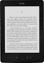 Amazon Kindle (5-е поколение)