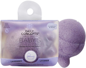 Your Baby's First Sponge Lavender DC27