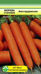 Морковь столовая Амстердамская 2 г
