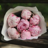 Букет из 7 нежно-розовых пионов