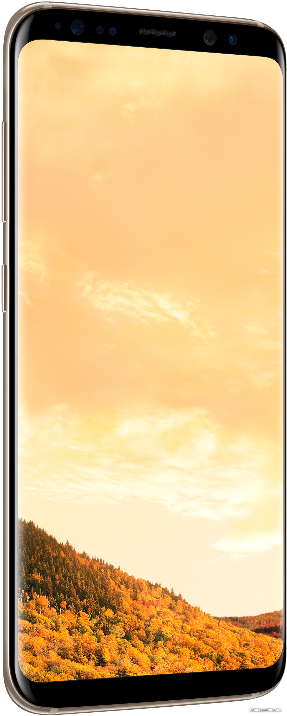 Samsung Galaxy S8 Dual SIM 64GB (желтый топаз) [G950FD] смартфон купить в  Минске