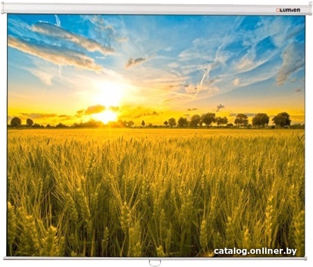 Отзывы о проекционном экране Lumien Eco Picture 127x200 LEP-100122