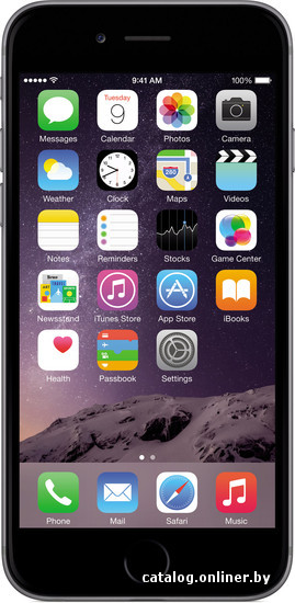 Apple Iphone 6 16gb Space Gray Smartfon Kupit V Minske