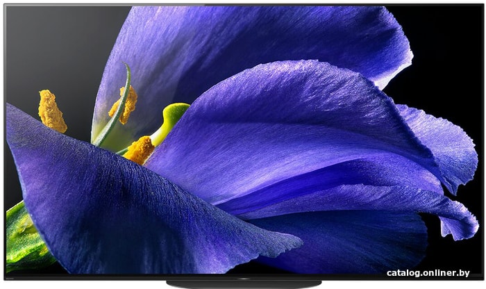 Sony Kd 65ag9 Oled Televizor Kupit V Minske