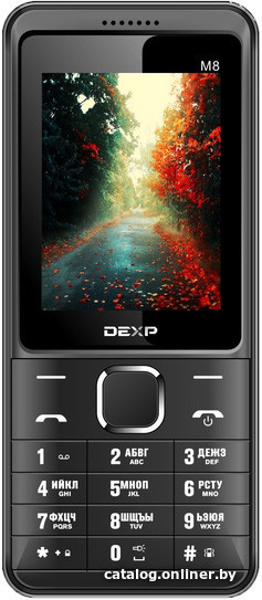 DEXP Larus M8 (черный) мобильный телефон купить в Минске