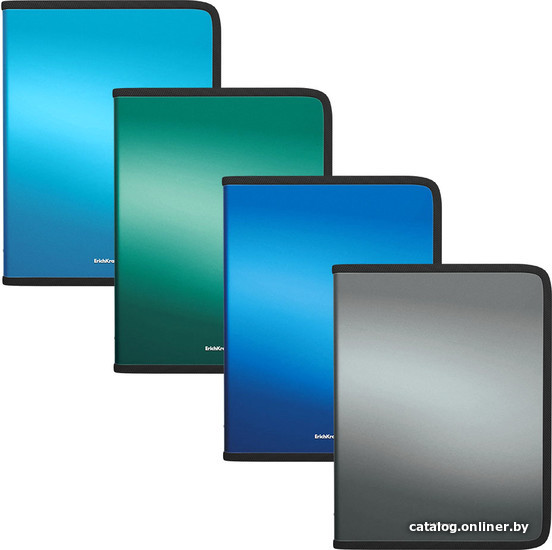 

Набор папок Erich Krause Matt Ice Metallic A5+ ассорти 50355 (4 шт)