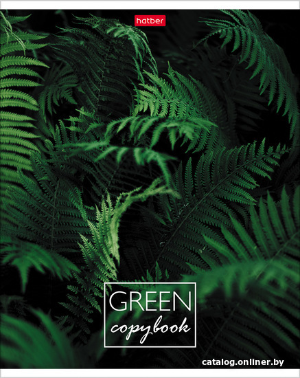 

Общая тетрадь Hatber MOREgreen 96Т5В1 (96 л)