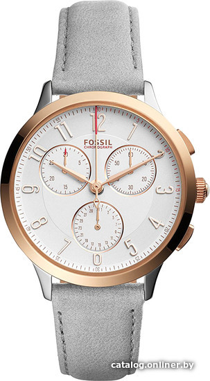 

Наручные часы Fossil CH3071