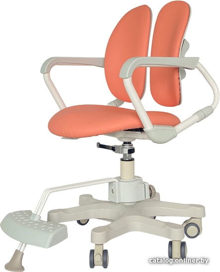 

Детское ортопедическое кресло Duorest DuoKids DR-280DDS (коралловый)