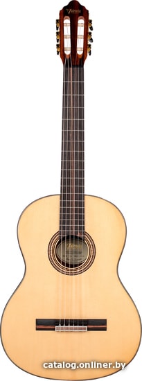 

Акустическая гитара Valencia VC564 N