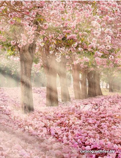 

Фотообои Citydecor Сказочная природа 5 с защитным покрытием 200x260