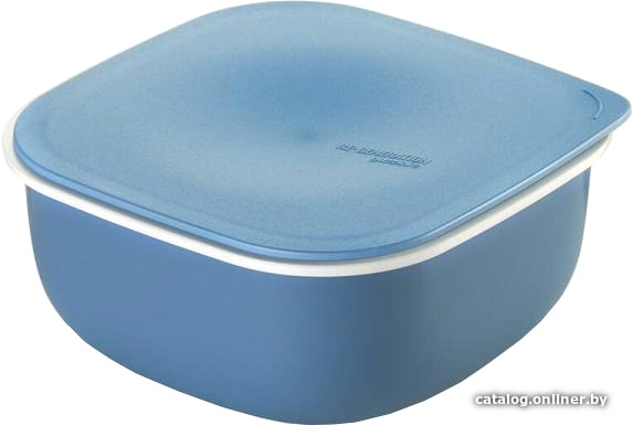 

Контейнер Guzzini Regeneration 52901157