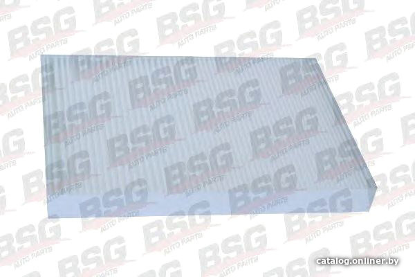 

BSG BSG60145001