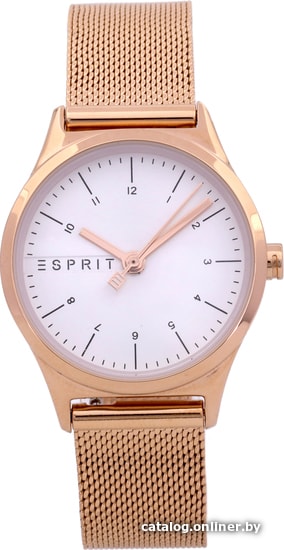 

Наручные часы Esprit ES1L052M0075