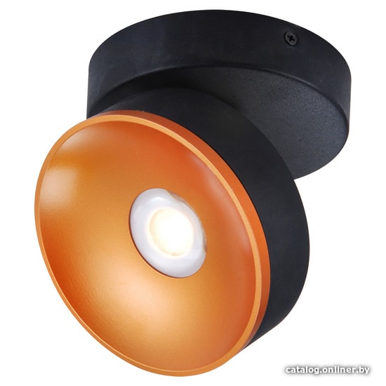

Спот Lussole Loft LSP-8017