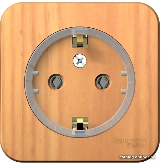 

Розетка Schneider Electric BLNRA110115
