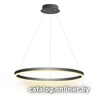 

Подвесная люстра LED Technology Ring 36 B