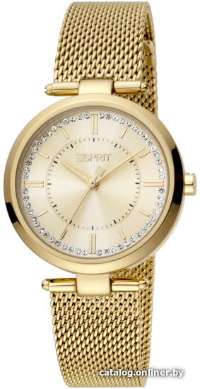 

Наручные часы Esprit ES1L251M0055