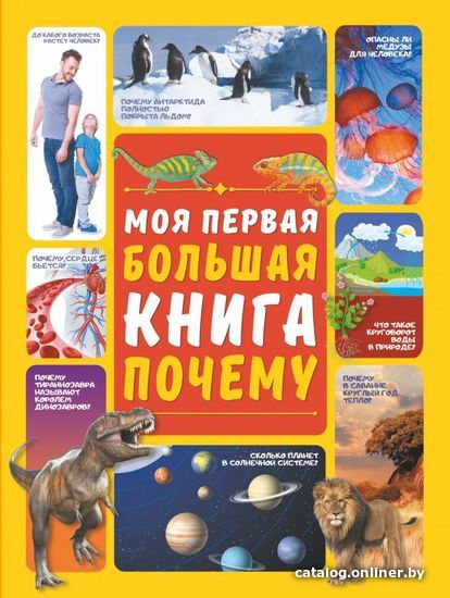 

Книга издательства АСТ. Моя первая большая книга ПОЧЕМУ (Ермакович Дарья Ивановна)