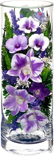 

Цветы, букеты Natural Flower Products Композиция из фиолетово-белых орхидей JSV3