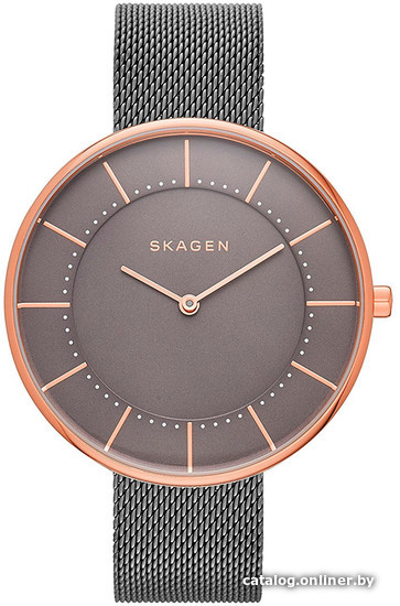

Наручные часы Skagen SKW2584