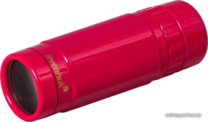 

Монокуляр Levenhuk Rainbow Monocular 8x25 (вишневый)