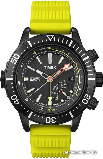 

Наручные часы Timex T2N958