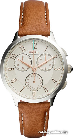 

Наручные часы Fossil CH3014