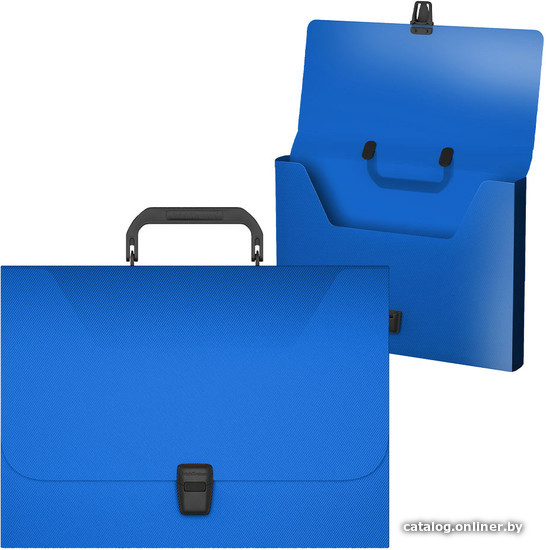 

Папка-портфель Erich Krause Diagonal Vivid 50450 (голубой)