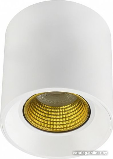 

Спот Denkirs DK3020WYE DK3090-WH+YE