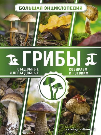 

АСТ. Большая энциклопедия. Грибы. Съедобные и несъедобные. Собираем и готовим. (Поленов Андрей Борисович)