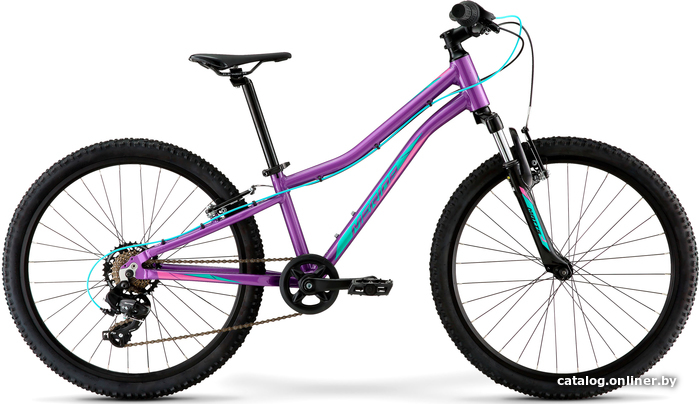 

Велосипед Merida Matts J. 24 Eco 2022 (фиолетовый/бирюзовый)