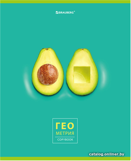 

Тетрадь предметная BRAUBERG Avocado. Геометрия 404278 (48 л, клетка)