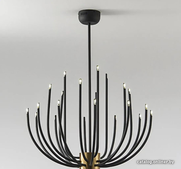 

Подвесная люстра ImperiumLoft Pira01 179758-26