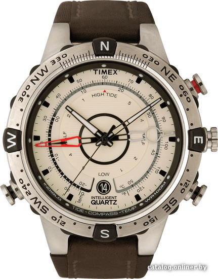 

Наручные часы Timex T2N721