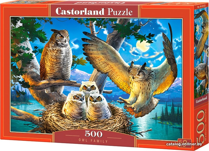 

Пазл Castorland Совиное семейство